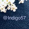 indigo57